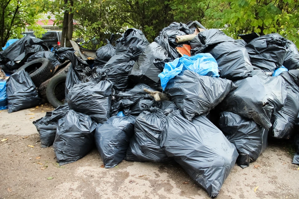 Жители Томска продолжают принимать активное участие в уборке городских улиц.