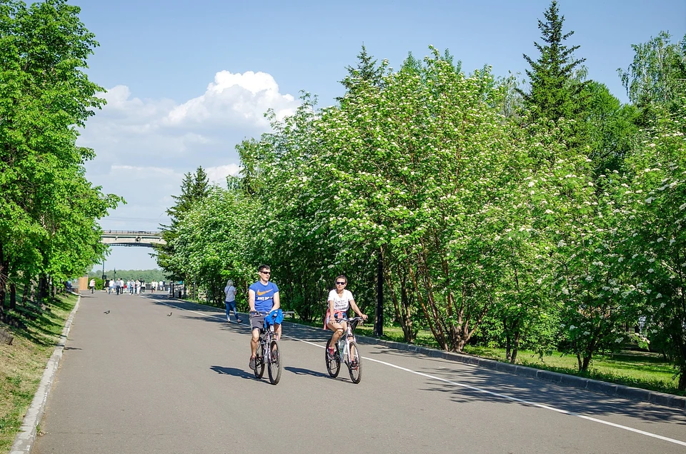 Погода в Красноярске на 1 июня 2021: грядет потепление до +23 и солнце