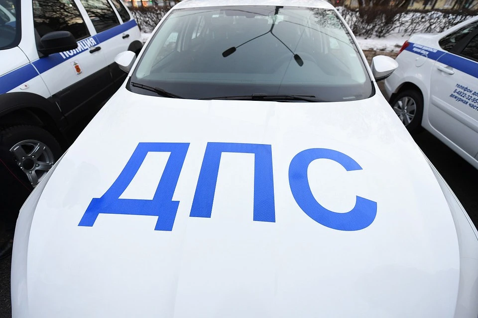 В Тверской области женщину из Сандово осудили за поддельные водительские права. Фото: ПТО.