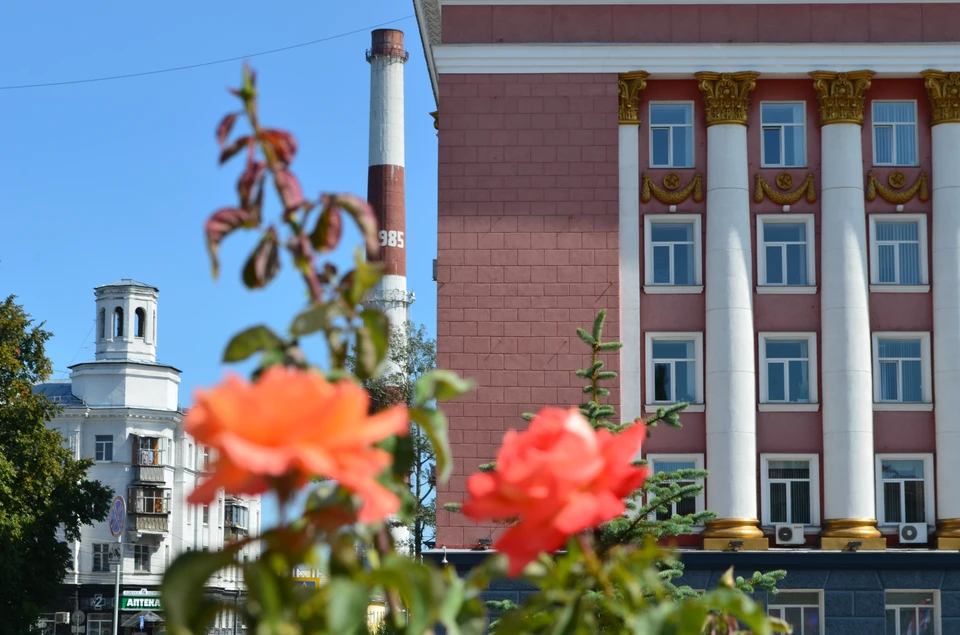 В курском Доме Советов рассказали о планах работы на форуме