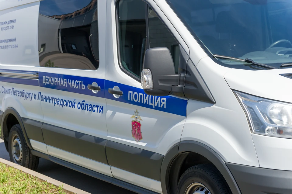 Полиция поймала жителя Купчино, изнасиловавшего немецкого студента.