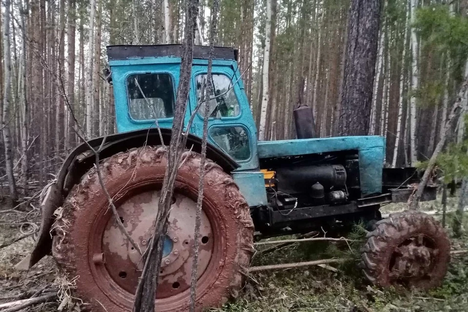 Грузовик, а также трактор и спиленный лес изъят у черных лесорубов.