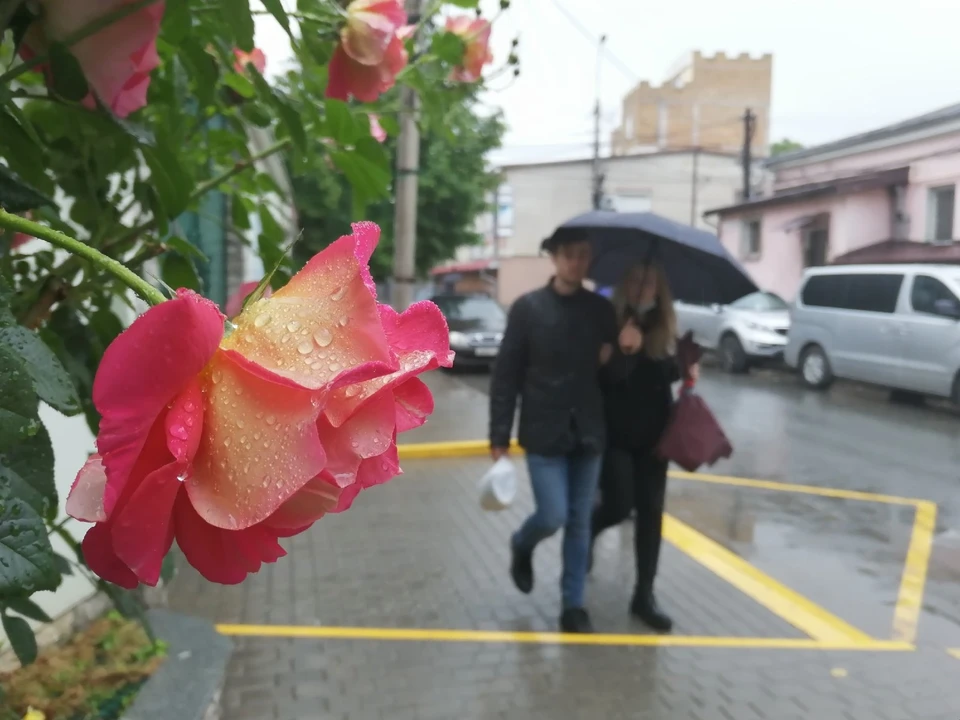 В Симферополь пришел дождливый понедельник.