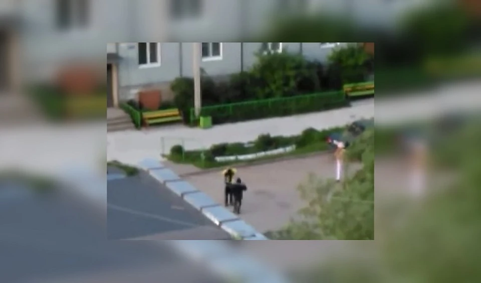 Фото: скриншот видео