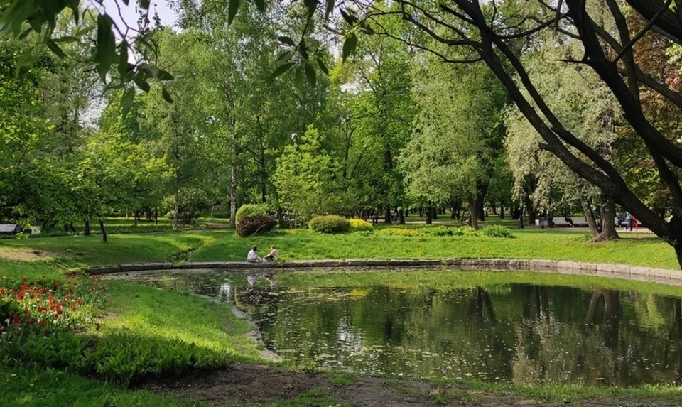 Тюменцам разрешили отдыхать на природе.