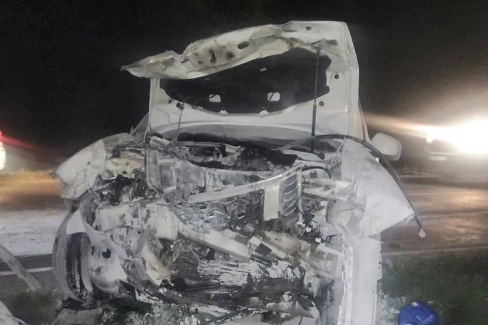 Предварительно, ЧП спровоцировала 41-летняя автоледи за рулем Nissan Terrano Фото: отдел пропаганды УГИБДД