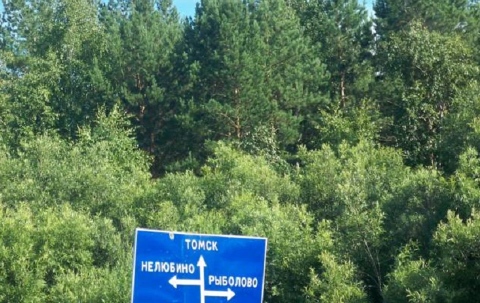 В этом году Нелюбино стало одним из пунктов туристического маршрута Томской области «Томск – Нелюбино – Петрово - Эушта». Фото с сайта komandirovka.ru