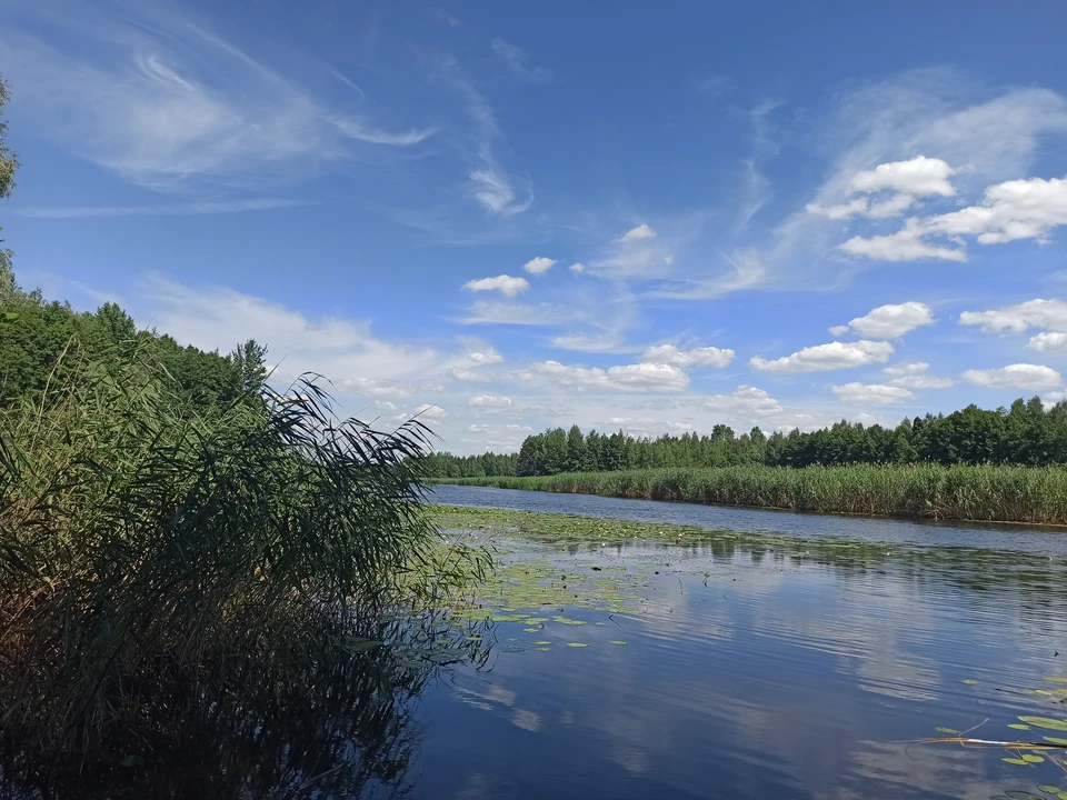 Его тело нашли водолазы.