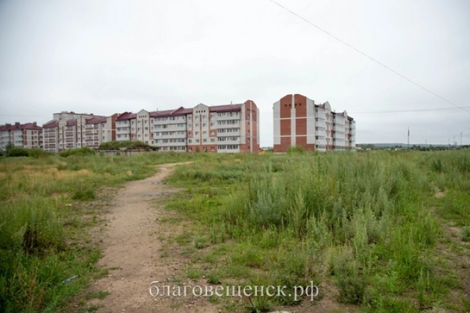 Фото: администрация города Благовещенска