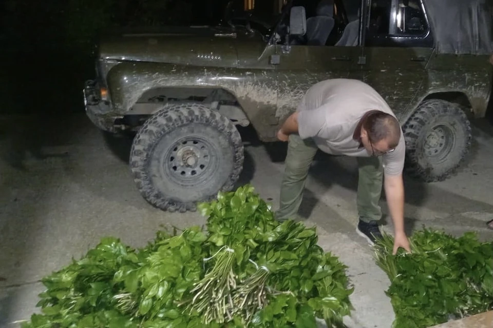 Фото: пресс-службы Сочинского нацпарка