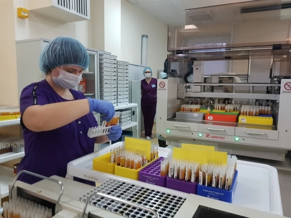 В Пермском крае было проведено более двух миллионов исследований на коронавирус