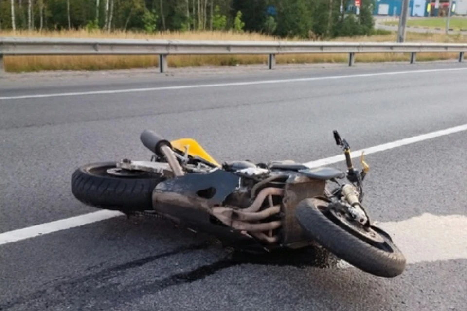 Мотоциклистка погибла ночью в Красном Селе. Фото: vk.com/krasnoe_selo