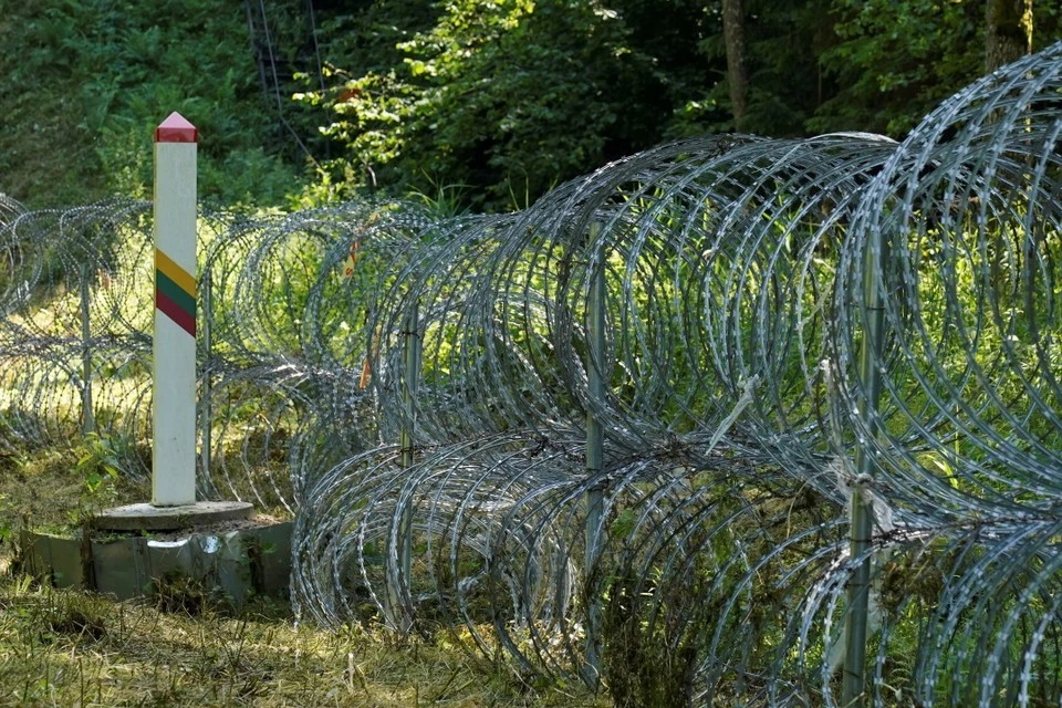 Пограничное агентство ЕС начинает срочную операцию на границе Литвы и Белоруссии из-за мигрантов