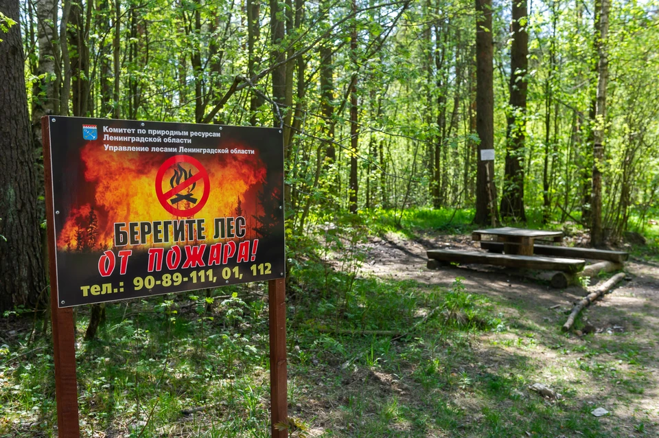 Противопожарный режим в Петербурге продлевается по 2 августа
