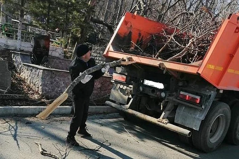 Во Владивостоке пытаются решить проблему с вывозом веток с кладбищ.