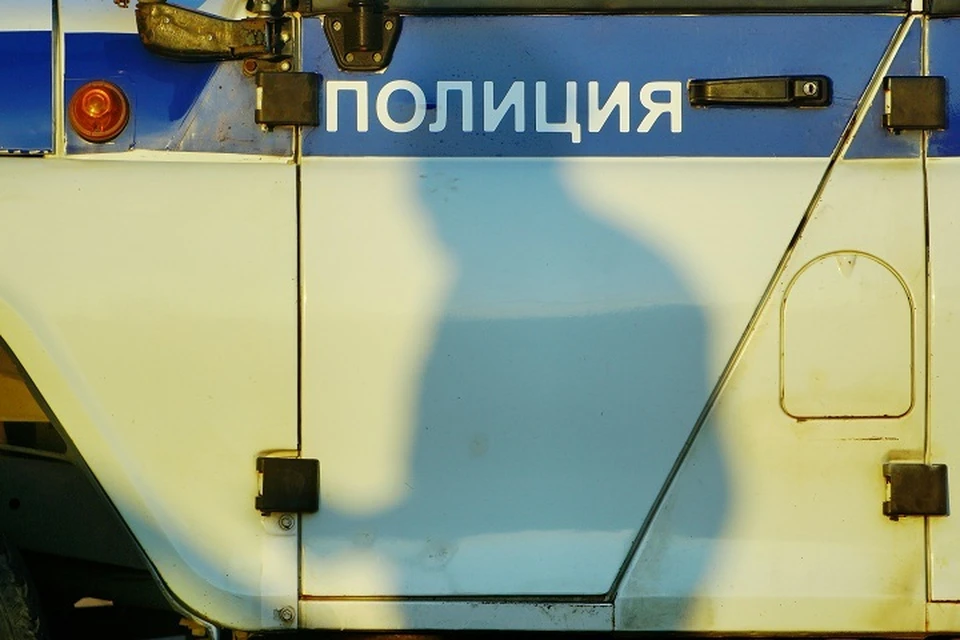 Задержанные и ранее привлекались к ответственности за кражи, свою вину они признали