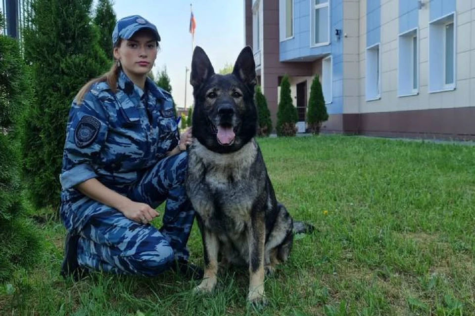 В Петербурге служебная собака по кличке Есения отыскала пропавшего ребенка / Фото: ГУ МВД по СПб и ЛО