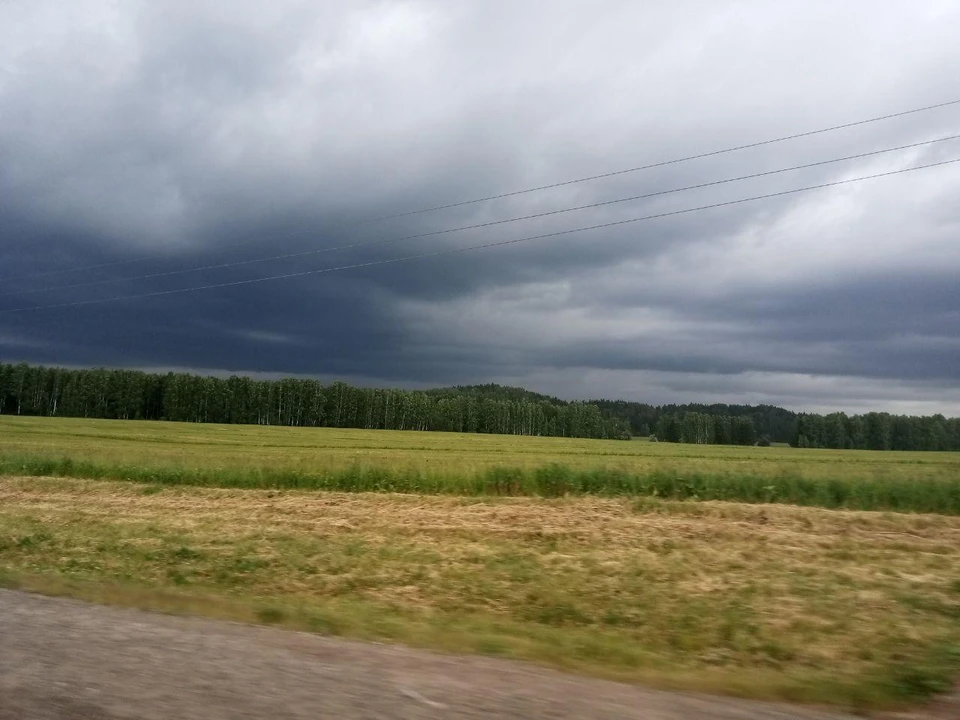 В Пермском крае в выходные пройдут дожди и грозы.