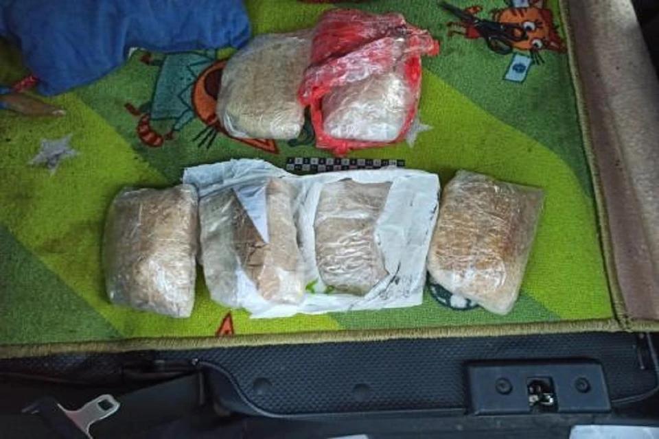 Полицейские поймали сибиряка, перевозившего крупную партию наркотиков. Фото: ГУ МВД по НСО.