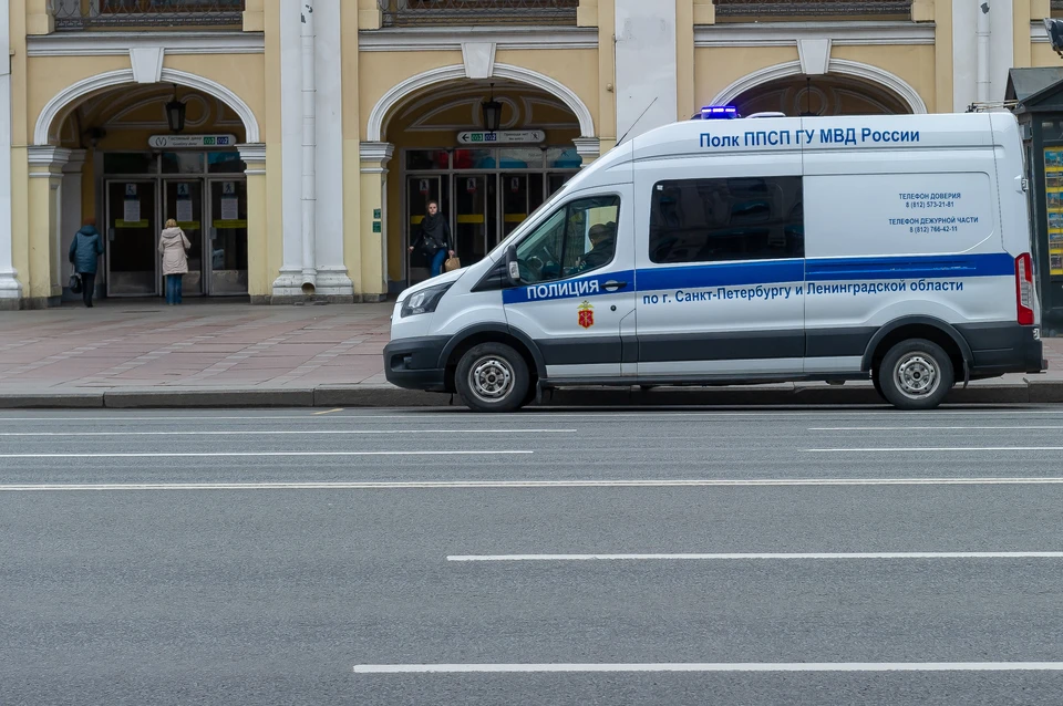 Полиция Петербурга разыскивает потерявшуюся 11-летнюю девочку.