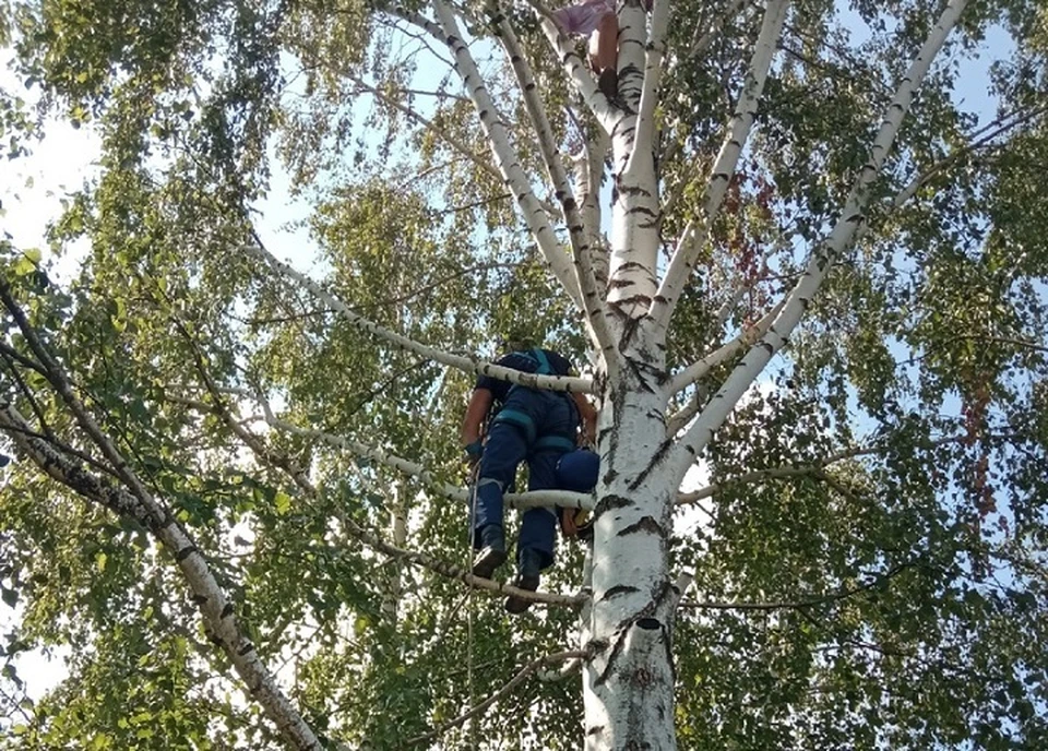 Спасатели помогли детям спуститься с дерева. Фото: Кунгурская служба спасения.
