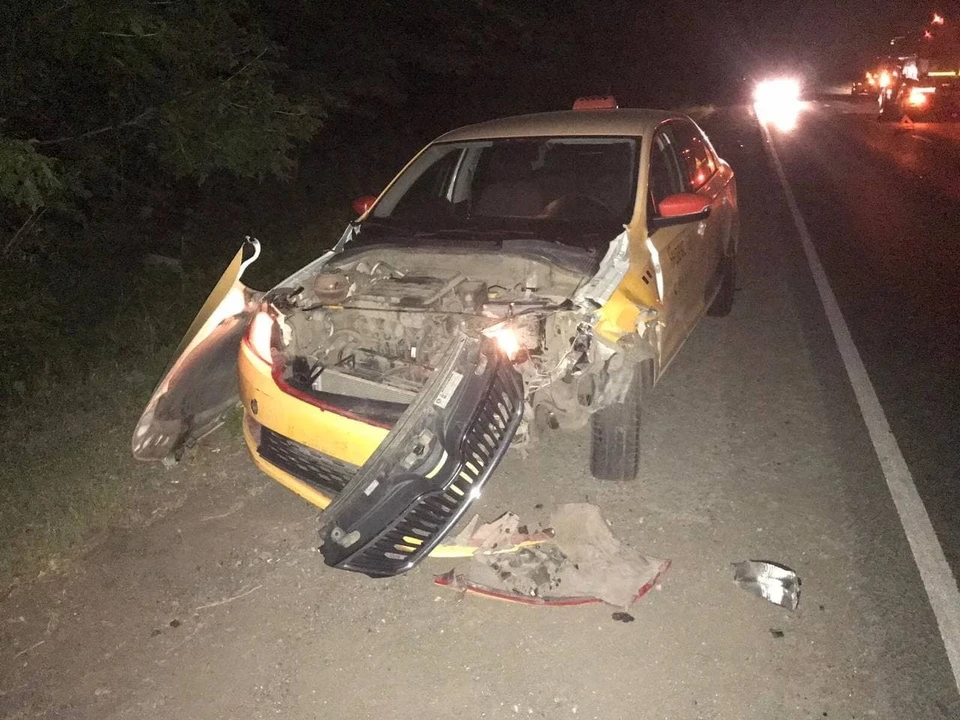 В Самаре таксист сбил кабана. Фото - ГУ МВД России по Самарской области