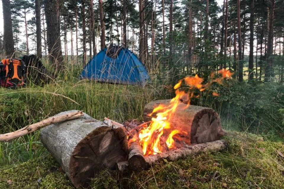 Что делать туристам из-за лесных пожаров в Карелии: Можно ли ехать в республику