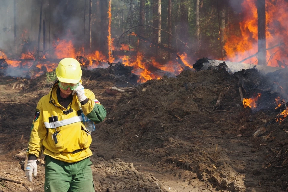 «Ситуация показывает, что природа меняется»: дым от лесных пожаров в Якутии дошел до Аляски. Фото: Авиалесоохрана