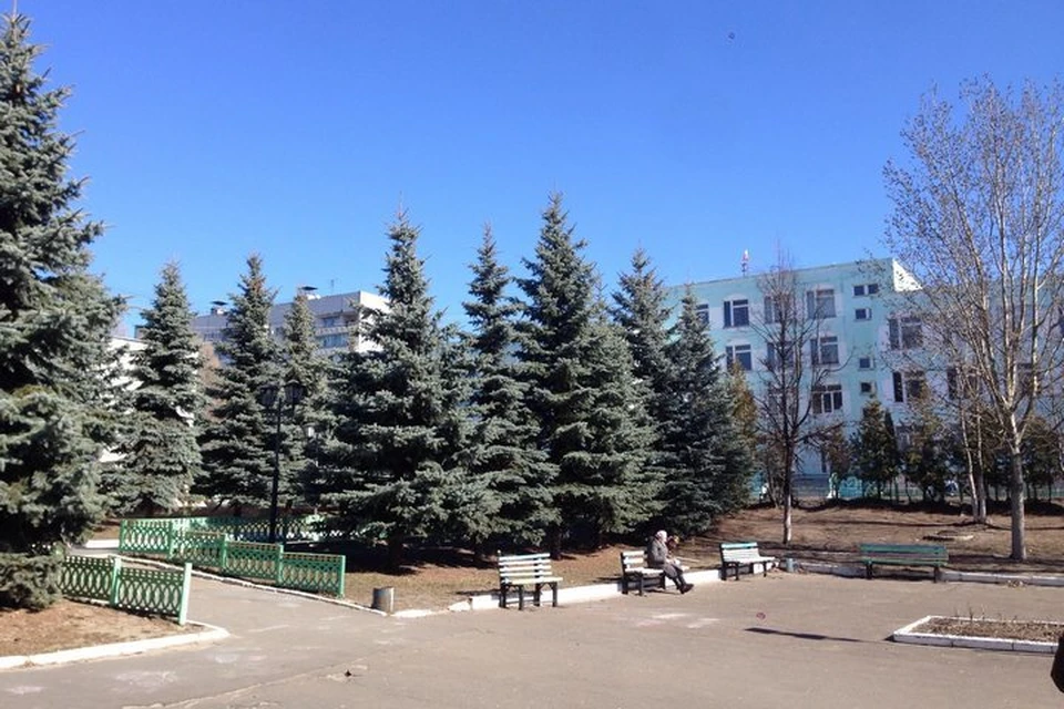 Фото: bryansk.hipdir.com.