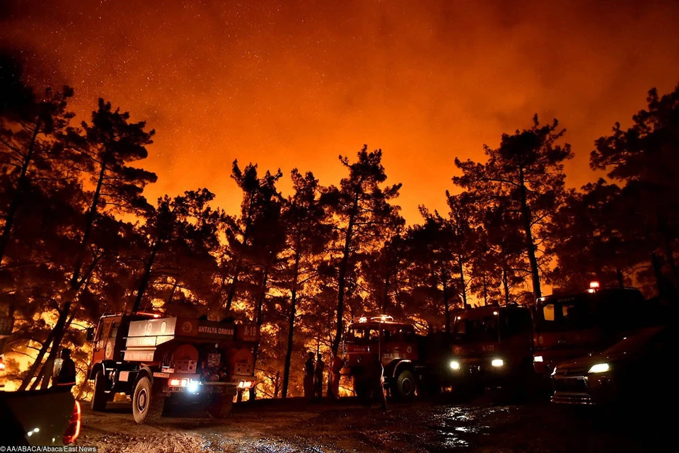 Пожары охватили лесные массивы Турции