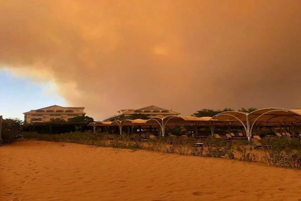 По меньшей мере один человек погиб при лесных пожарах в Турции Фото: instagram.com