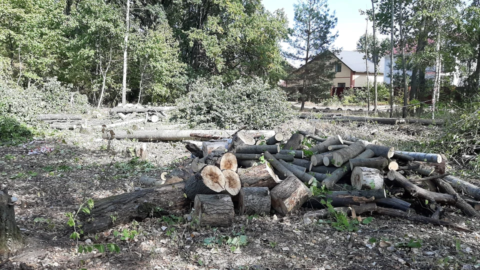 Фото предоставлено читателями