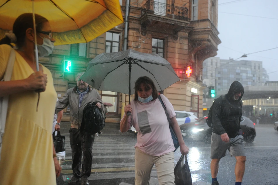 Ливень и сильный ветер ждут в Петербурге в течение суток.