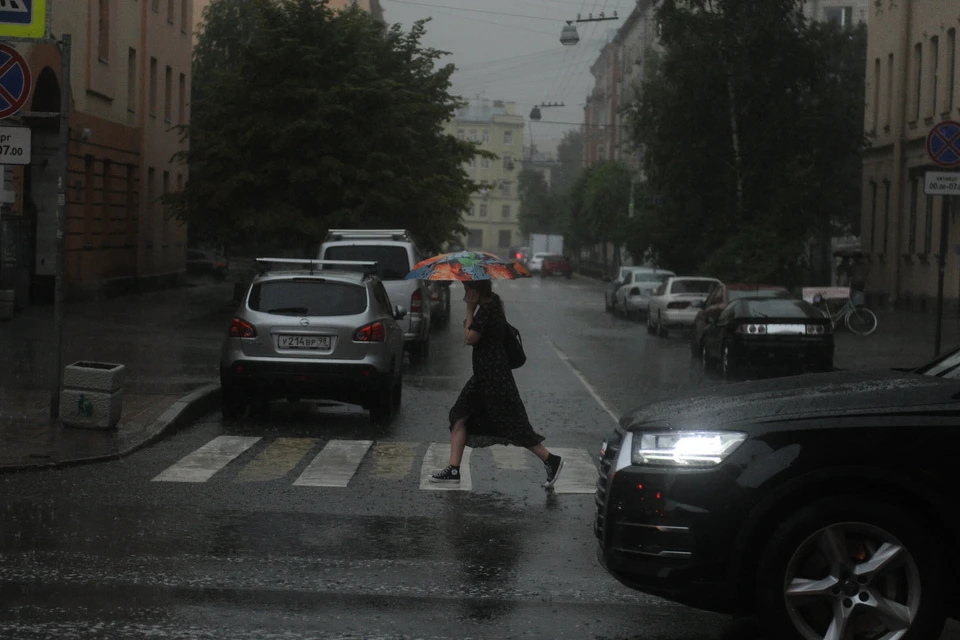 Больше половины месячной нормы осадков выпало в Петербурге 2 августа
