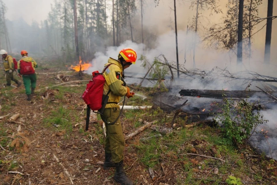 Минобороны направило дополнительную роту для тушения пожаров в Якутии Фото: пресс-служба "Авиалесохраны"