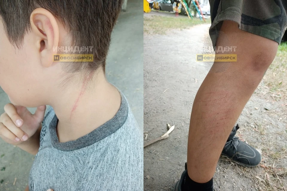 В Новосибирске сотрудница салона красоты напала на 10-летнего мальчика. Фото: "Инцидент Новосибирск".