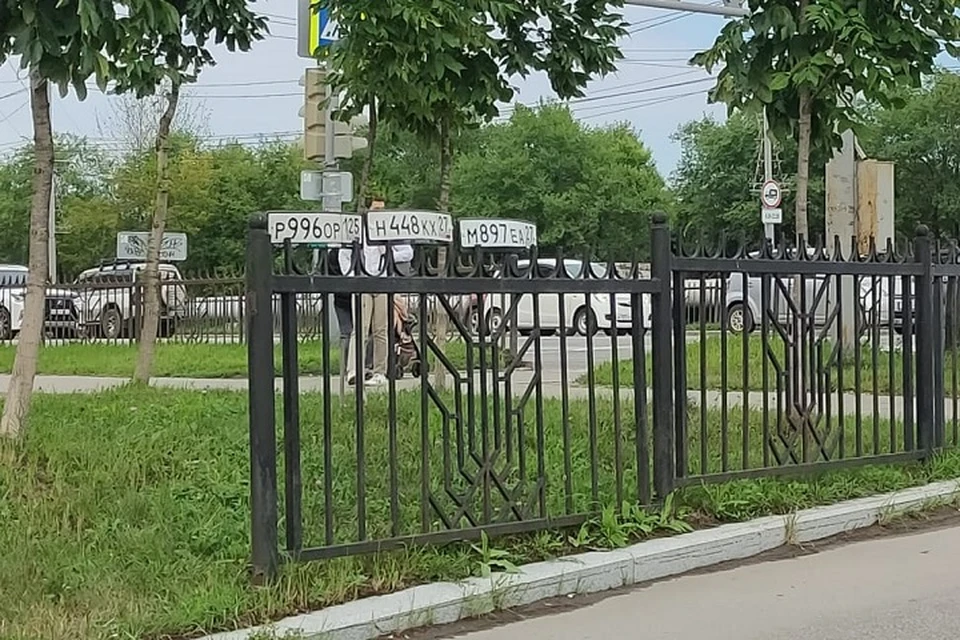«В поисках Немо»: Хабаровск восстанавливают после сильных дождей