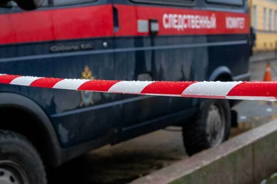 Заставил голым бежать через лес в мороз: в Хабаровском крае вынесли приговор убийце