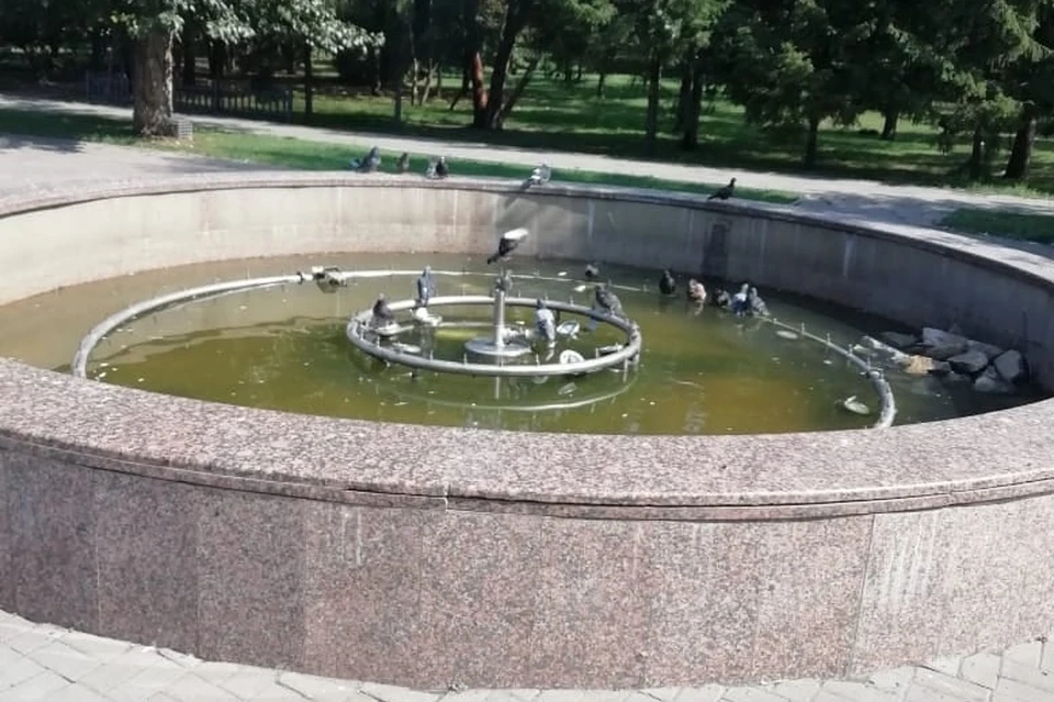 Фонтан в омском сквере превратился в огромную пилку для голубей.