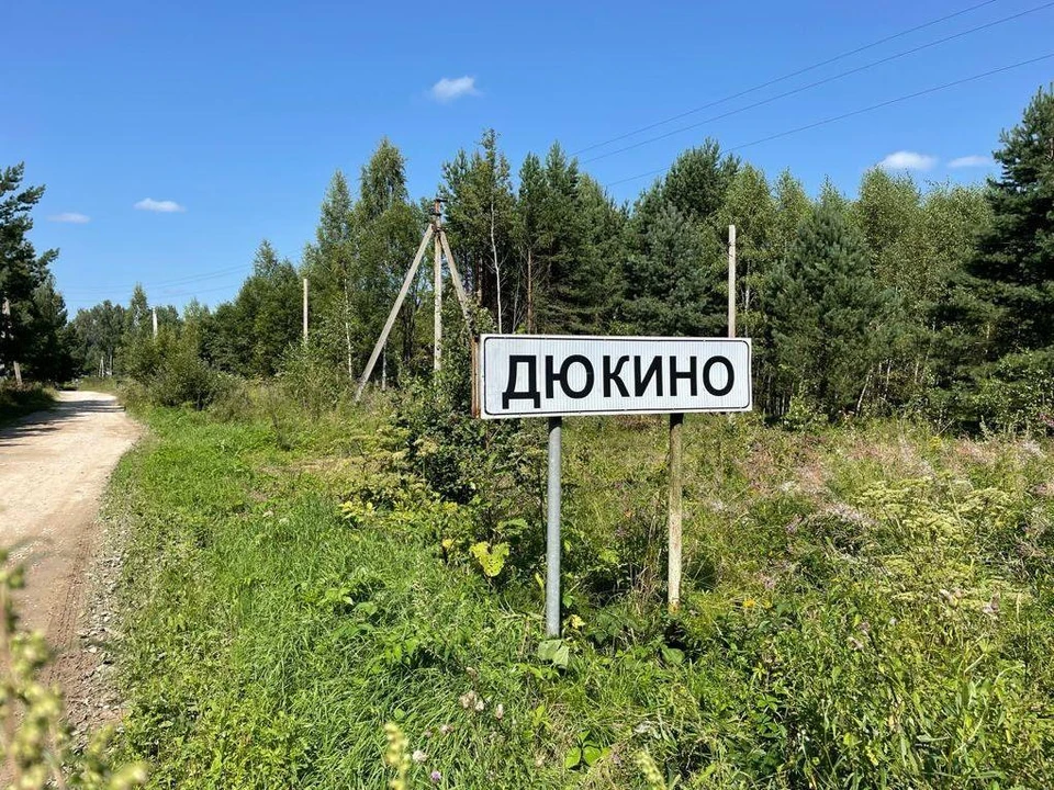 Воду добывают из артезианской скважины и поставляют жителям деревни.