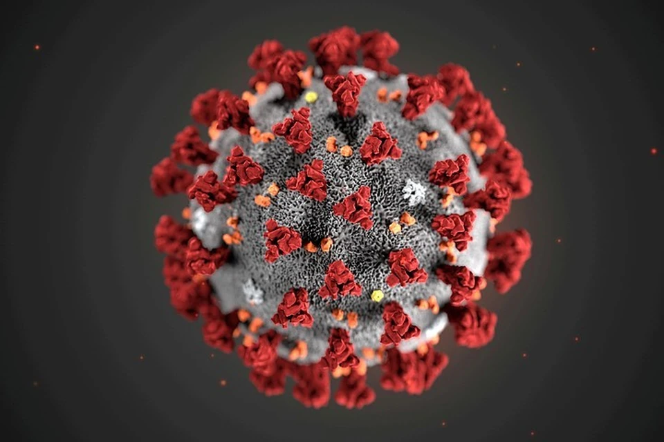 Разведка США пришла к выводу, что коронавирус не был разработан в КНР как биологическое оружие