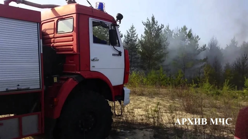 Фото: пресс-служба ГУ МЧС России по Костромской области