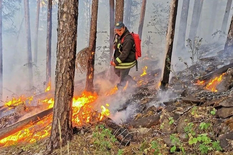 Лесные пожары бушевали во многих районах Башкирии. Фото: МЧС по РБ