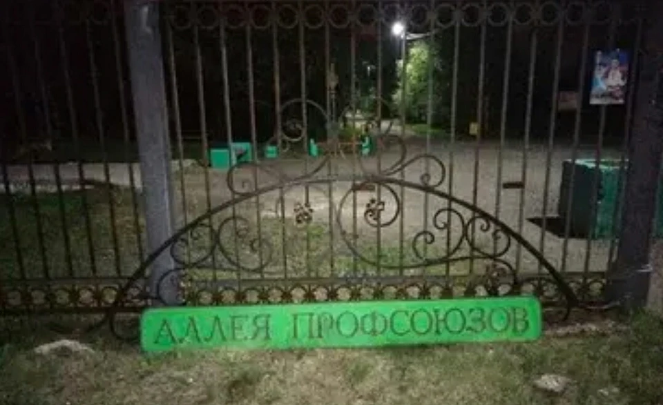 ЧП случилось в парке имени 300-летия Омска. Фото: прокуратура Омской области