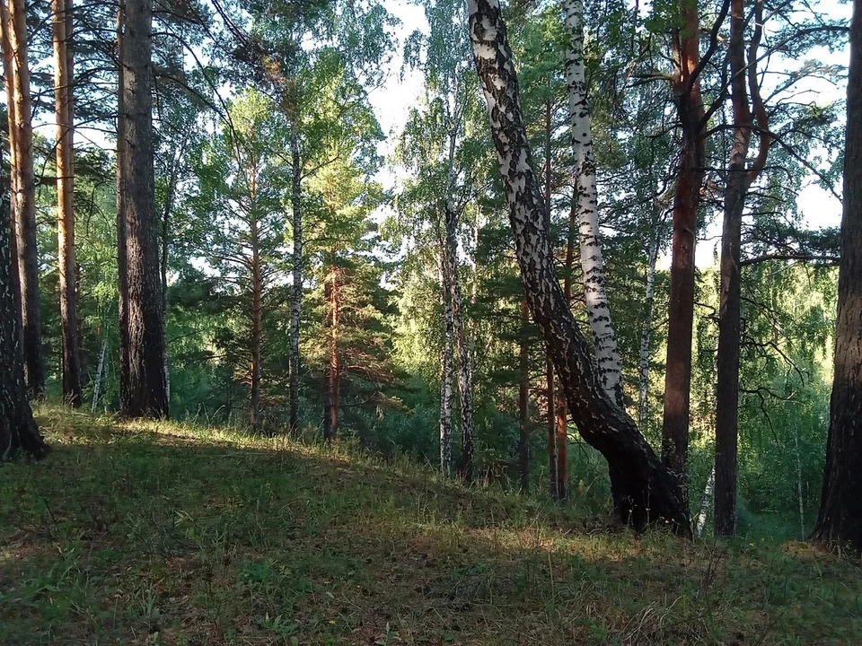 Погода на Ямале на 2 сентября