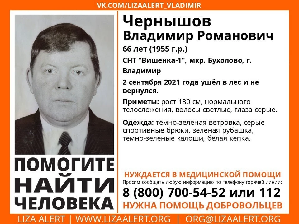 ориентировка отряда "Лиза Алерт"