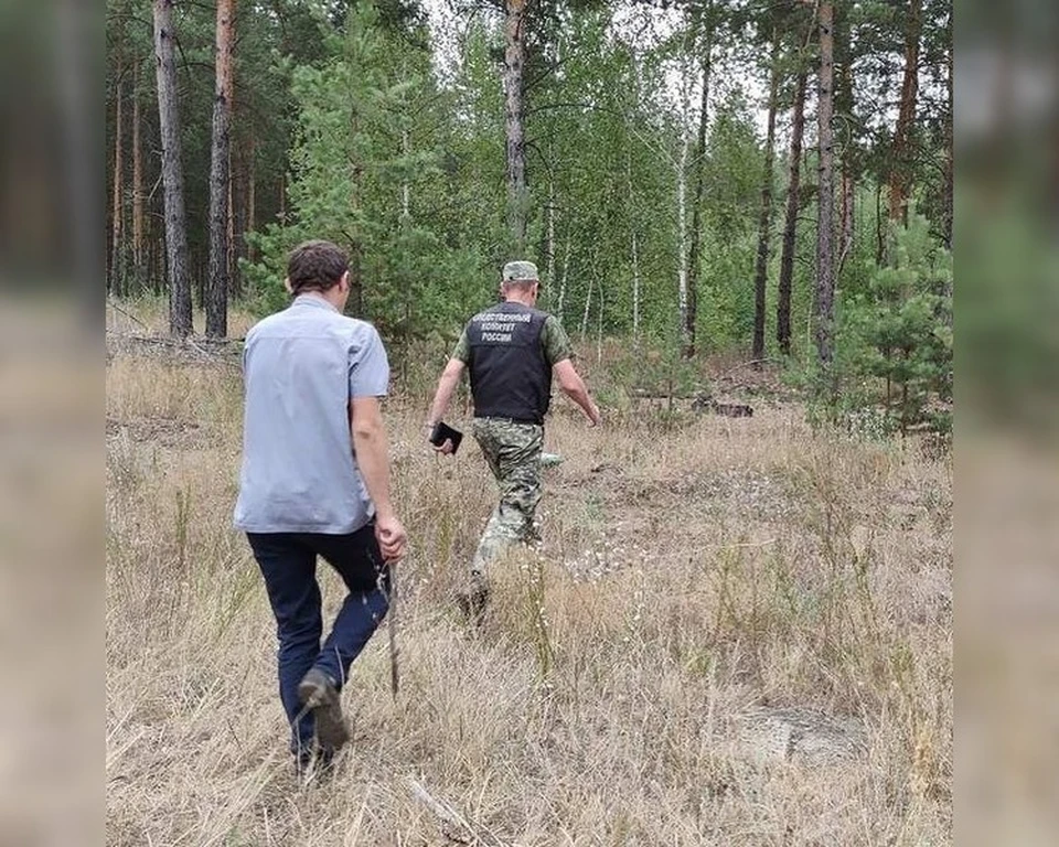 Тело погибшего нашли в лесополосе за поселком Винтай Фото: Предоставлено пресс-службой Следственного комитета