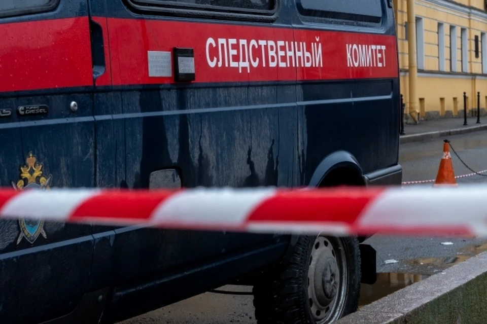 Проверкой инцидента занимается СК