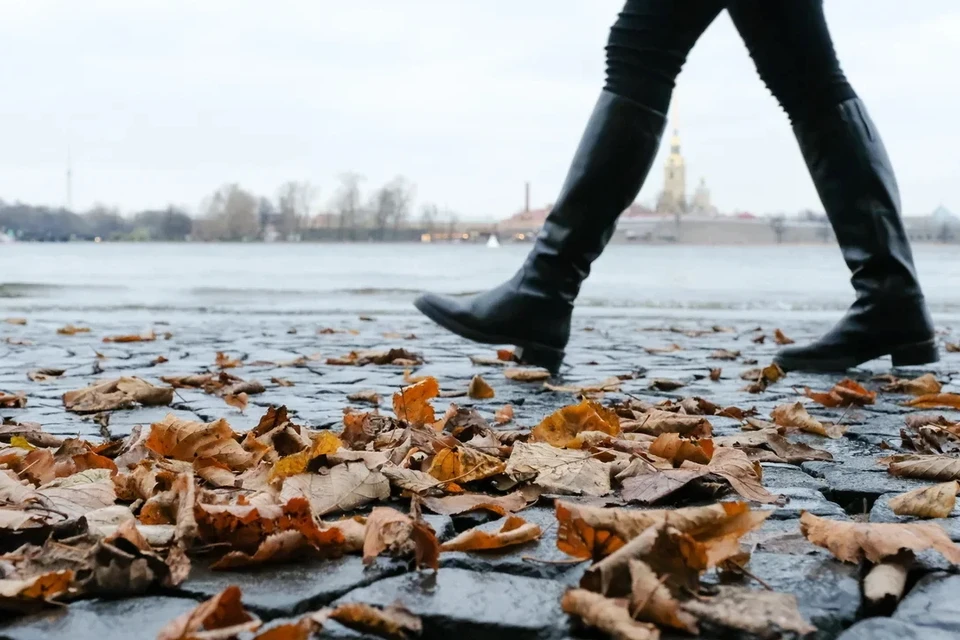 Погода на 7 сентября 2021 года в Санкт-Петербурге.