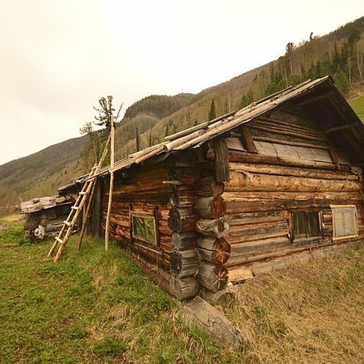 дом лыковых в тайге (200) фото